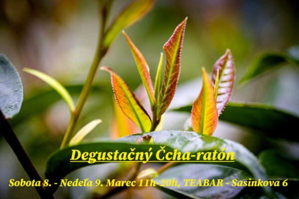 The Degustation cha-raton 8.-9.March 2025